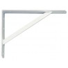 PALOMILLA 9-400X275 BLANCA EPOXI