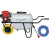 FUMIGADORA GAS.1 RUE.4T 2,5HP 100L 20BAR