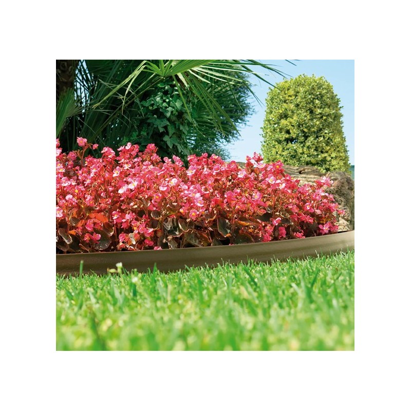 BORDURA BARK BORDER 9CMX10M MARRON CLARO