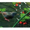 MALLA ANTIPAJAROS BIRDNET 5380/4X06M VDE