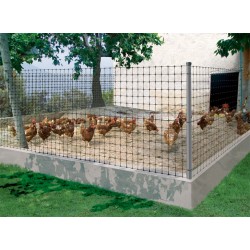 Malla Gallinero Corral 1.20 X 36 Mt