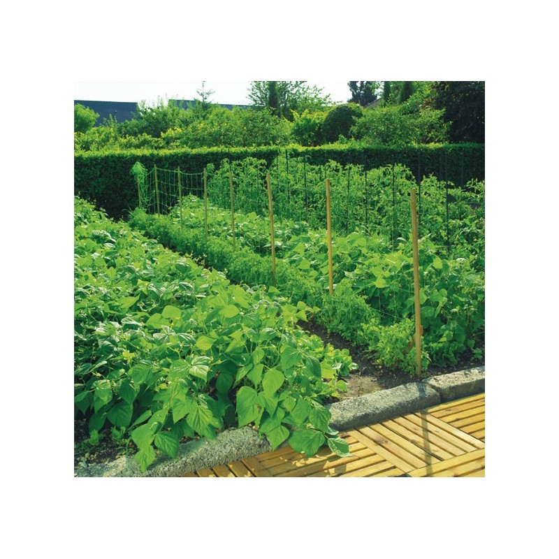 MALLA ENTUTOR TRELLINET 35/2X025 VERDE