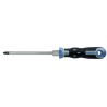 DESTORN.TEKNO PLUS 025-1X100 B.POZIDRIV